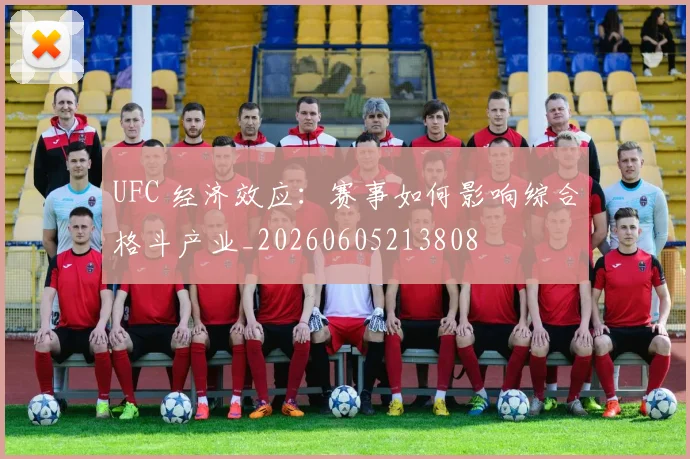 UFC 经济效应:赛事如何影响综合格斗产业_20260605213808