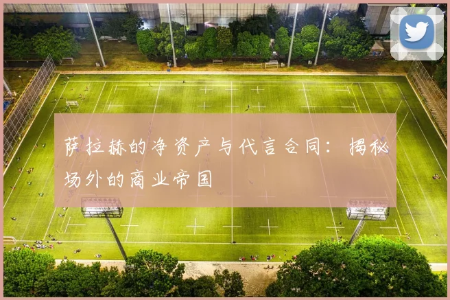 萨拉赫的净资产与代言合同:揭秘场外的商业帝国