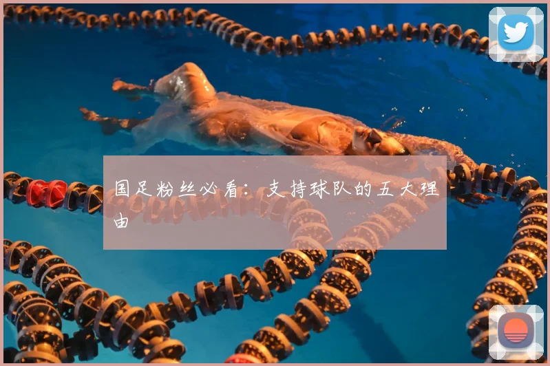 国足粉丝必看：支持球队的五大理由